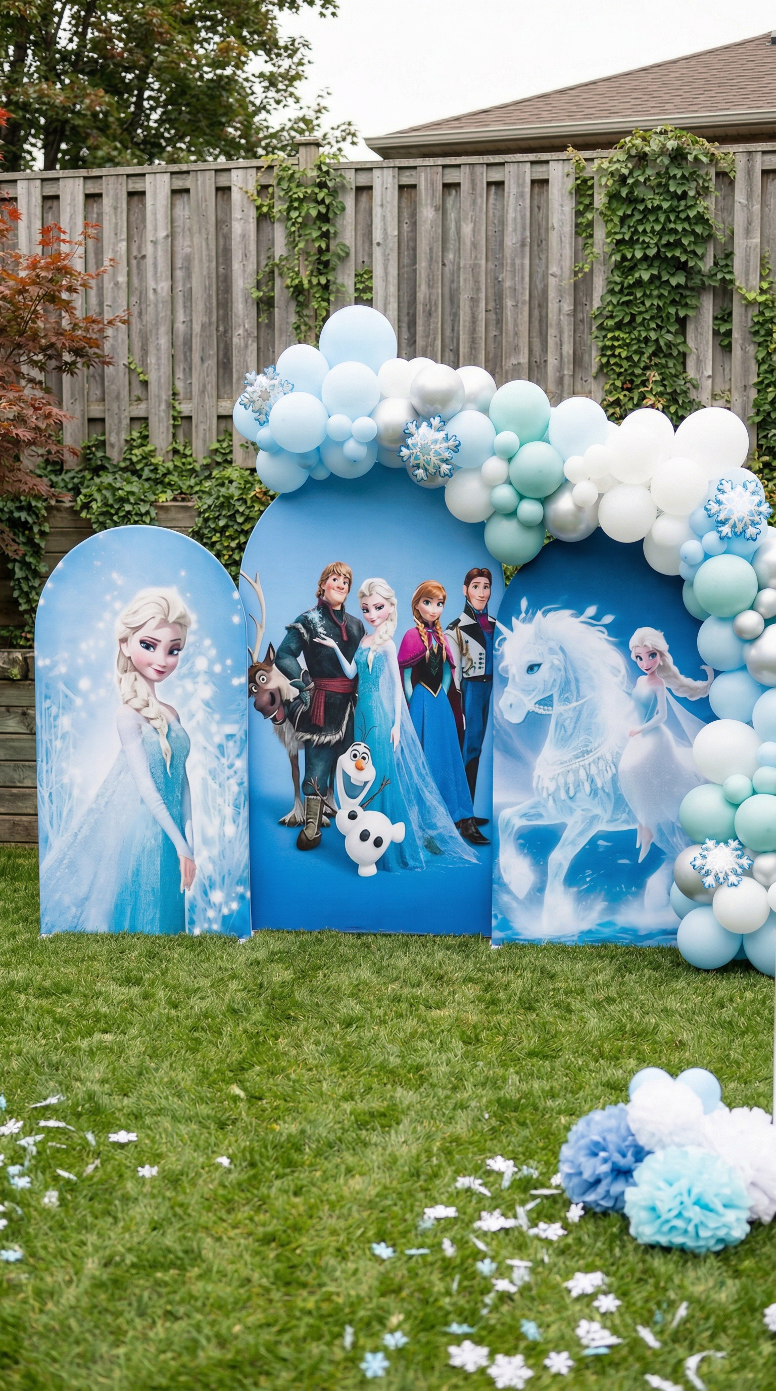 Frozen Theme